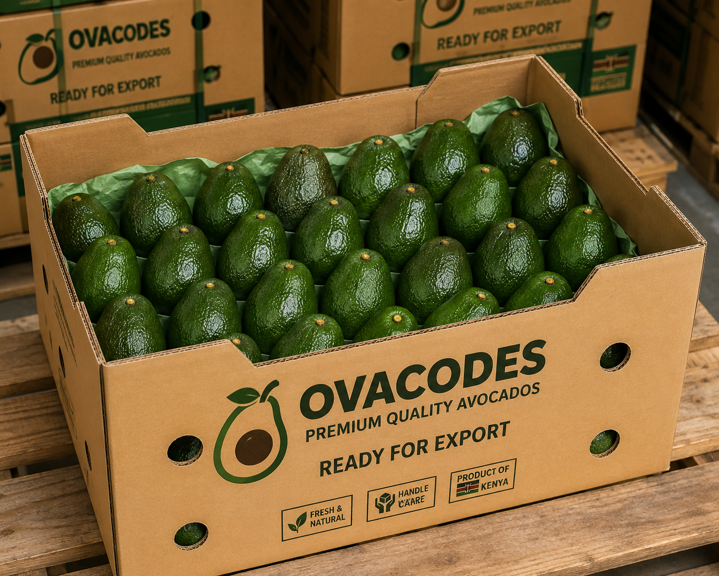 Temperature-controlled cold room storage for food fruits flowers and pharmaceutical cargo in Kenya